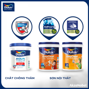 SƠN DULUX MỚI – LƯẠ CHỌN TỐI ƯU CHO NGÔI NHÀ BỀN VỮNG