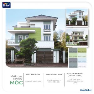 MÀU SƠN NÀO CHO NGÔI NHÀ CỦA GIA CHỦ MỆNH MỘC?